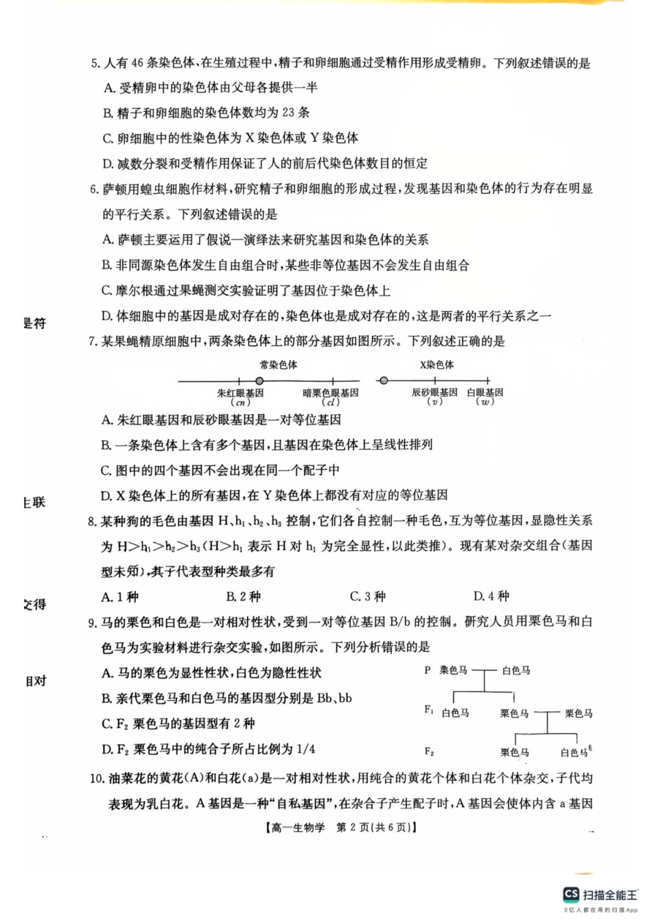 河南省安鹤新联盟2024-2025学年高一下学期3月联考生物试卷（PDF版，无答案）.pdf_第2页