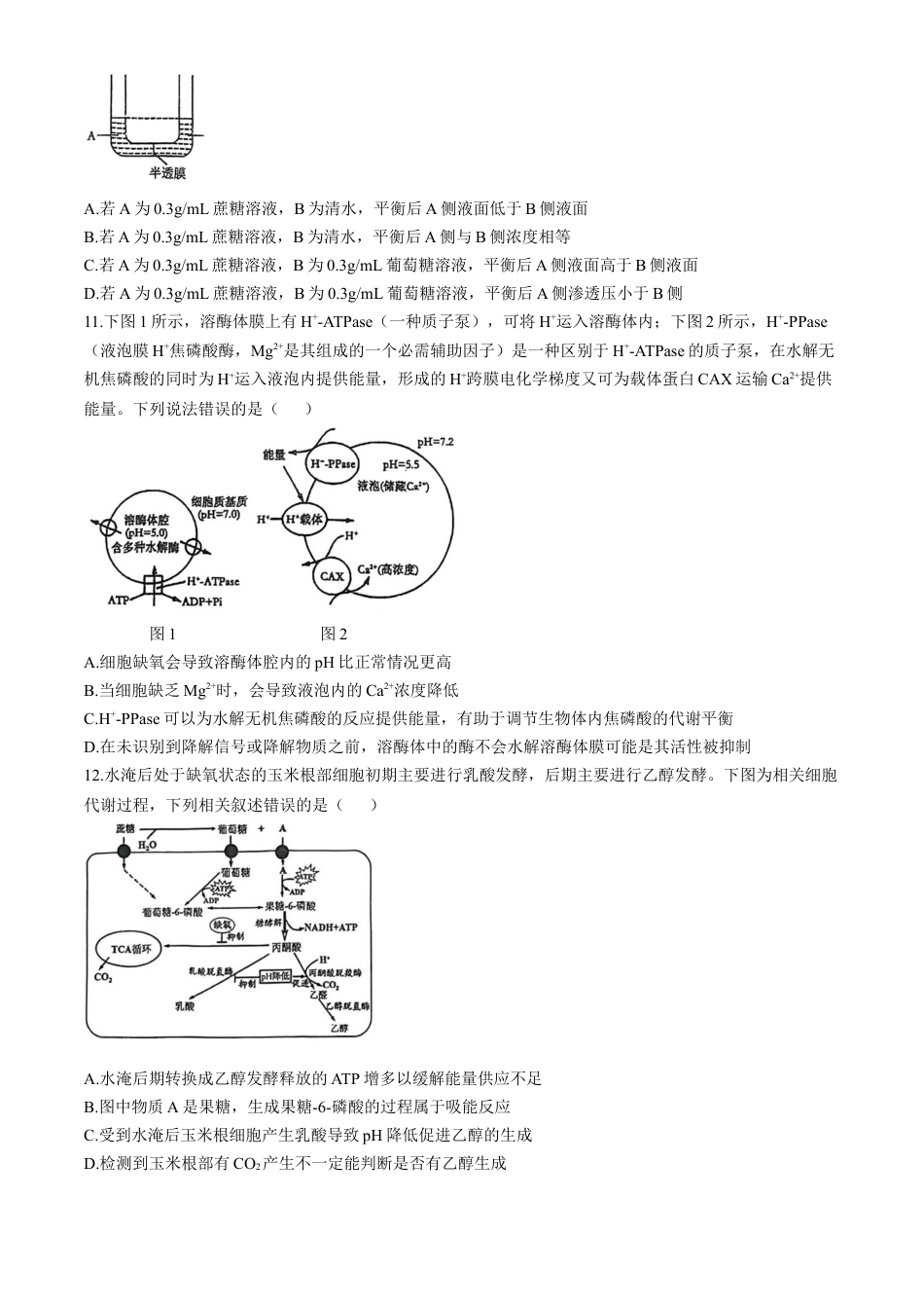 湖北省荆楚优质高中联盟2024-2025学年高一下学期3月月考生物学试卷（含答案）.docx_第3页