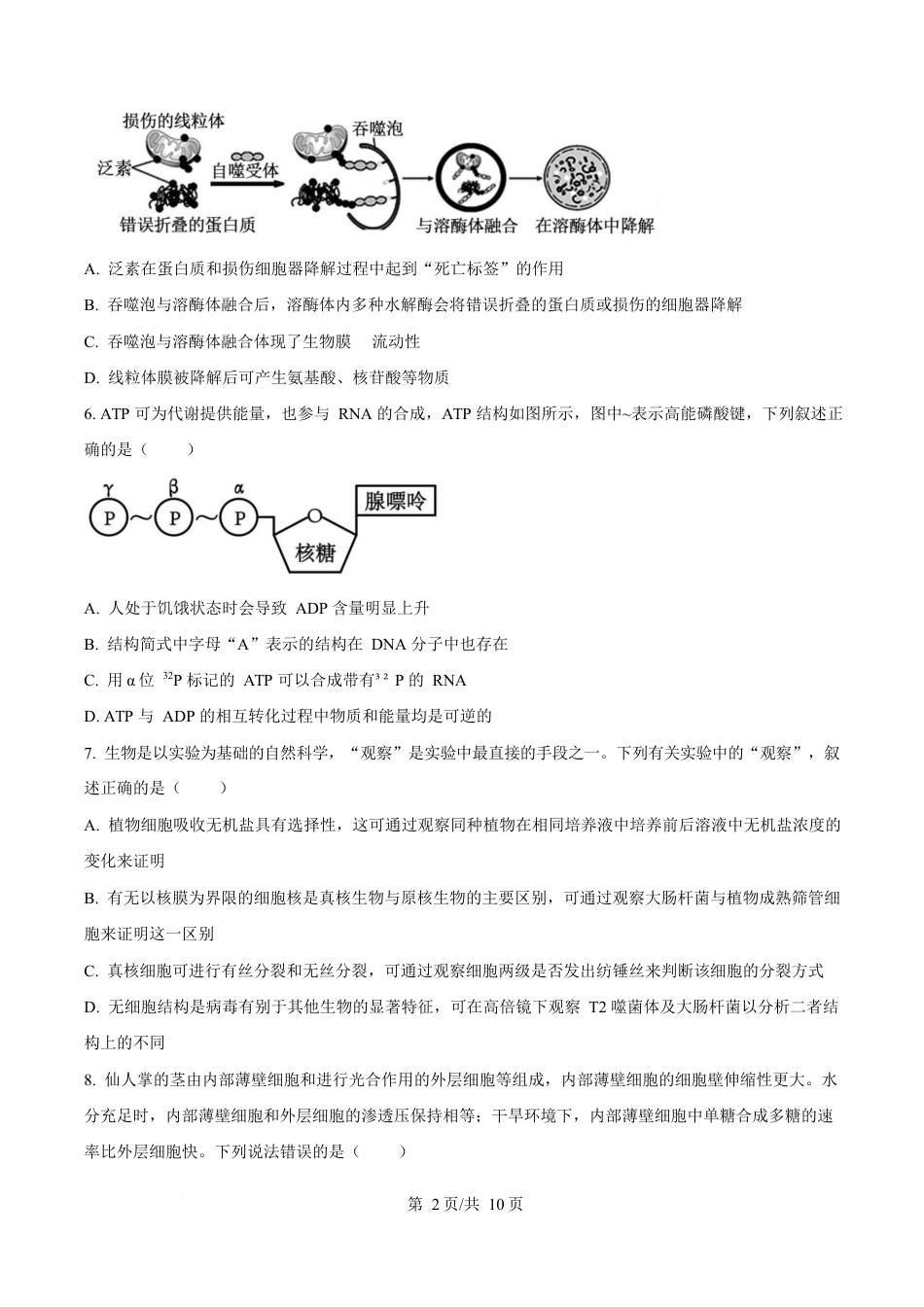 湖北省十堰市六县市区一中教联体学校2024-2025学年高一下学期3月月考生物试题（原卷版）.docx_第2页