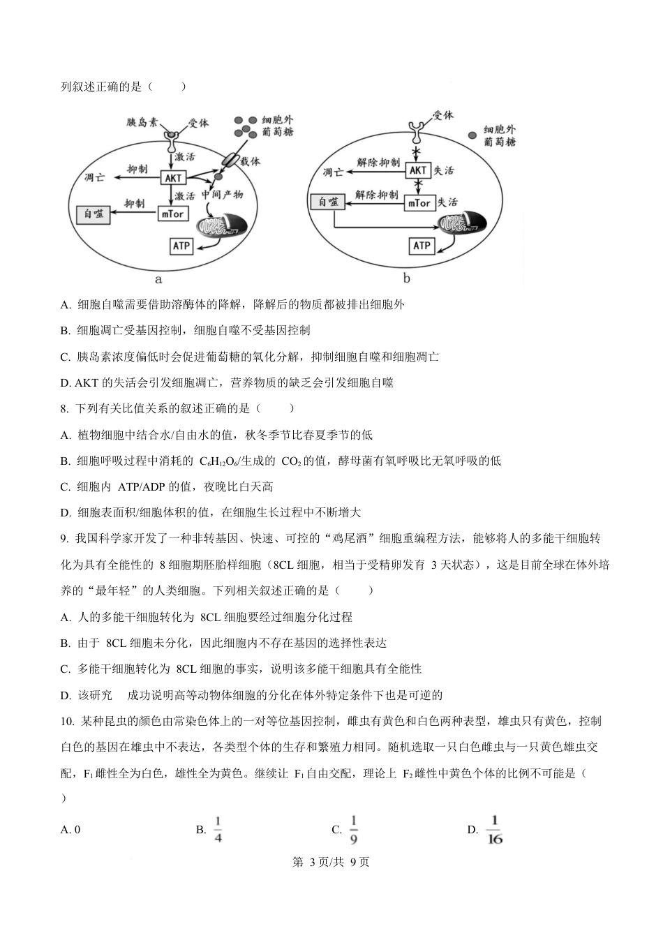 湖北省襄阳市第四中学2024—2025学年高一下学期3月考试生物试题（原卷版）.docx_第3页
