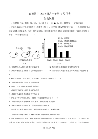 湖北省襄阳市第四中学2024—2025学年高一下学期3月考试生物试题（原卷版）.docx