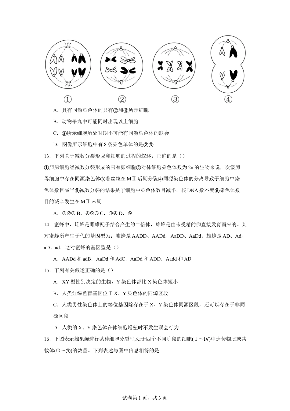 吉林省长春市第八中学2024-2025学年高一下学期4月月考生物试题（有答案）.docx_第3页