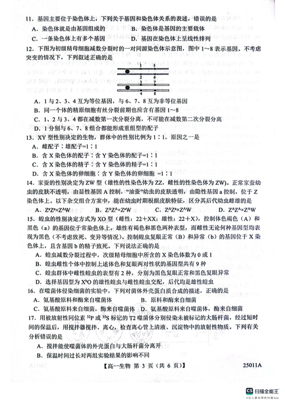 山东省菏泽市鄄城县第一中学2024-2025学年高一下学期4月月考生物试题（有解析）.pdf_第3页