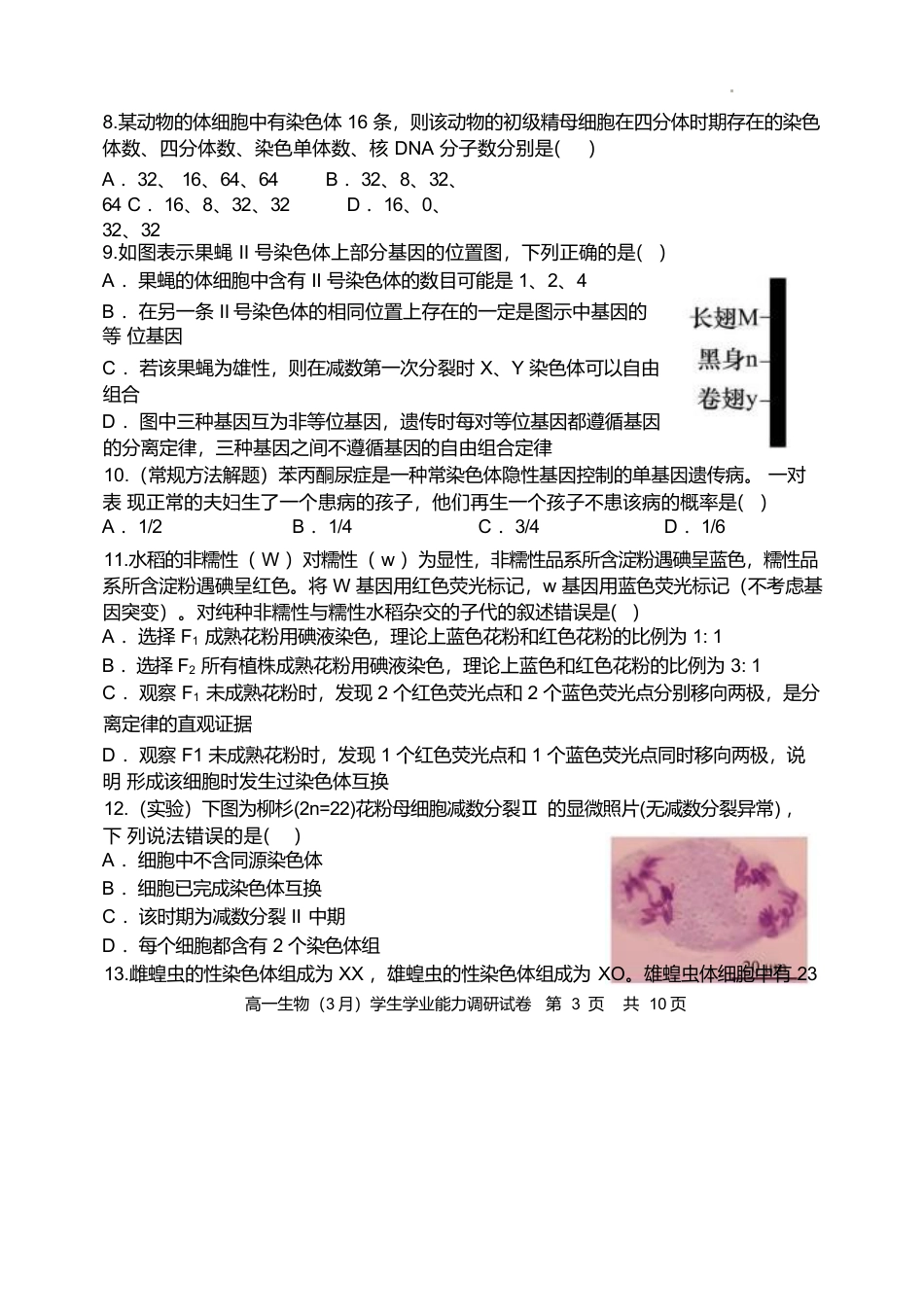 天津市静海区第一中学2024-2025学年高一下学期学生学业能力调研（3月）生物试卷（含答案）.docx_第3页