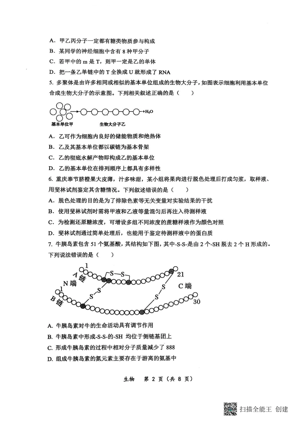 重庆鲁能巴蜀中学校2024-2025学年高一下学期3月月考生物试题 生物试题.pdf_第2页