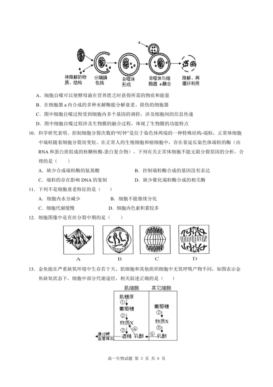 重庆市涪陵区第一中学2024-2025学年高一下学期第一次月考生物试题（扫描版有答案）.pdf_第3页