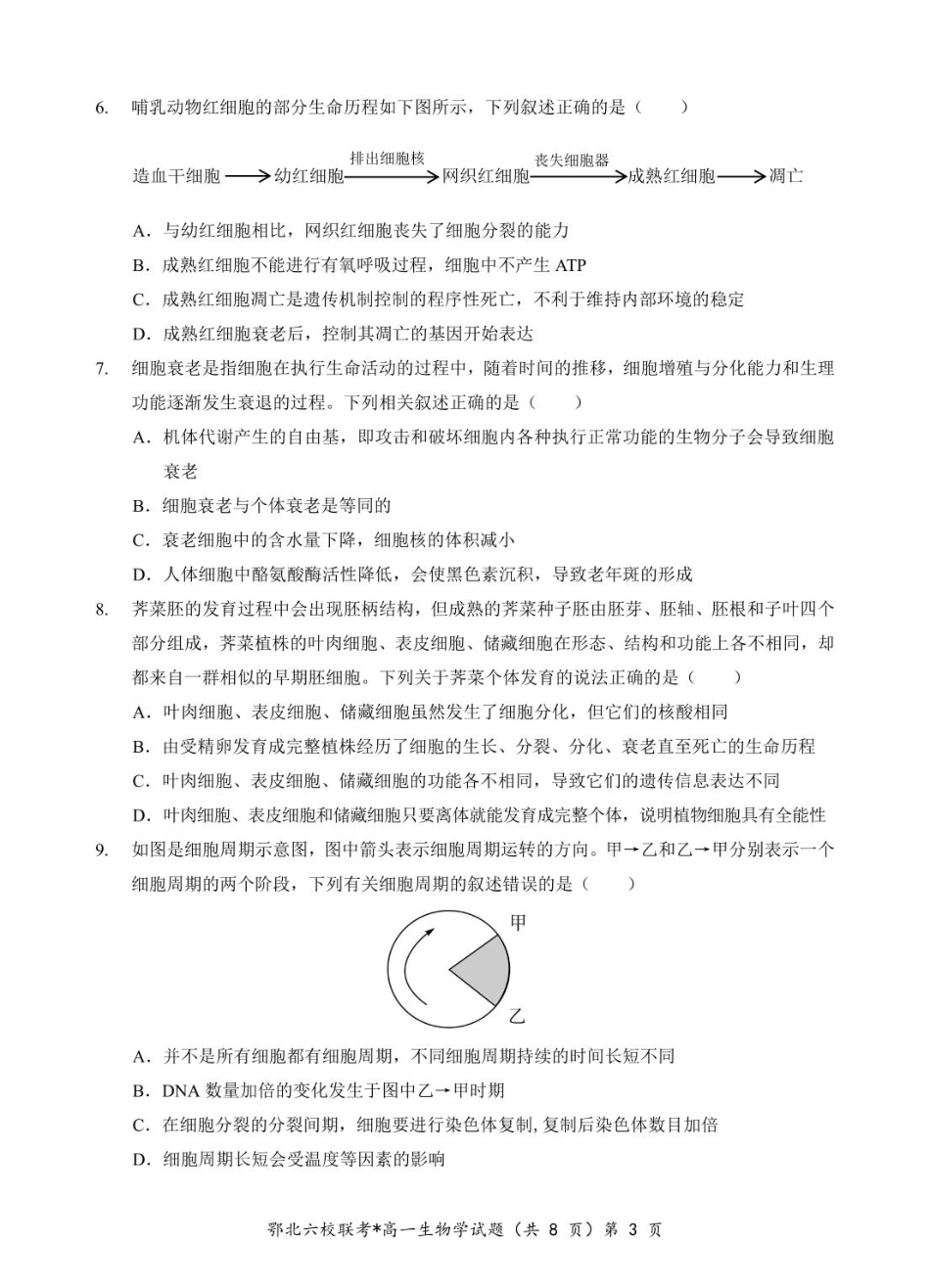湖北省鄂北六校2024-2025学年度高一下学期期中联考生物试题.pdf_第3页