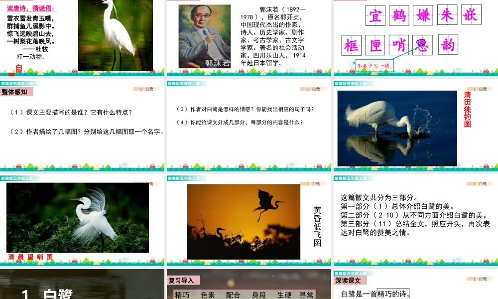 部编版语文五年级上-1 白鹭 课件.pptx