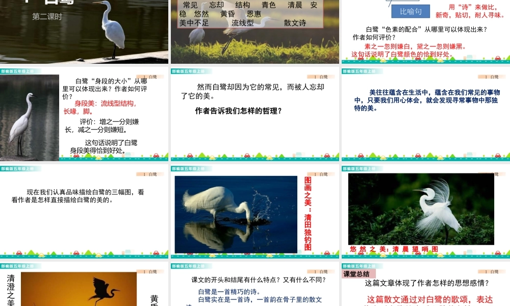 部编版语文五年级上-1 白鹭 课件.pptx