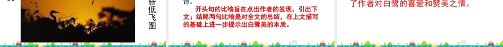 部编版语文五年级上-1 白鹭 课件.pptx