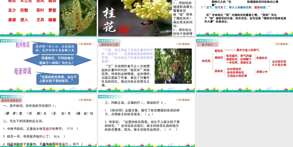 部编版语文五年级上-3 桂花雨 课件.pptx