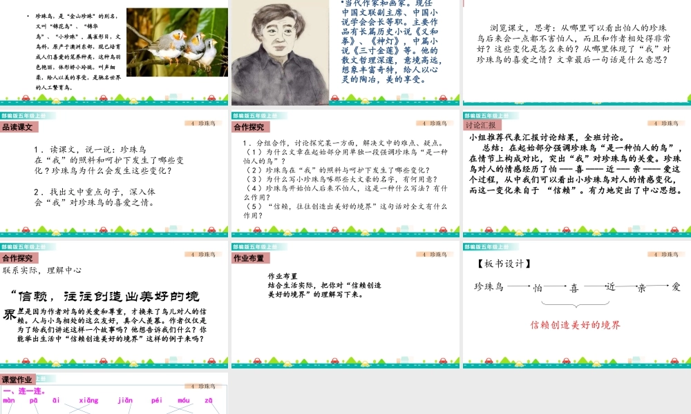 部编版语文五年级上-4 珍珠鸟 课件.pptx