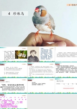 部编版语文五年级上-4 珍珠鸟 课件.pptx
