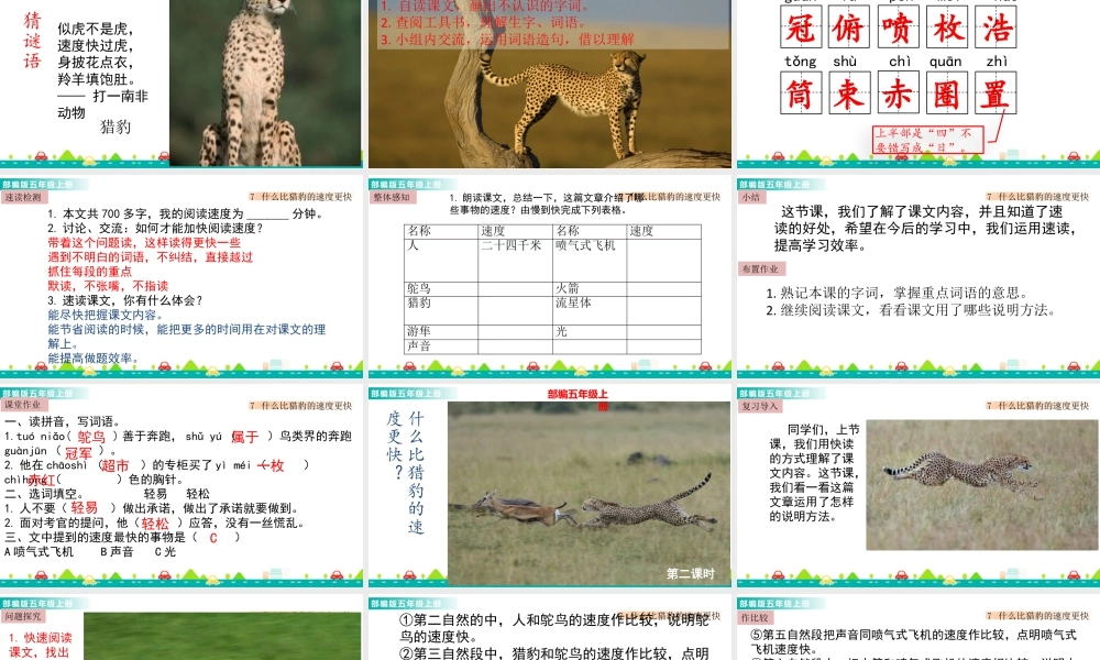 部编版语文五年级上-7 什么比猎豹的速度更快 课件.pptx