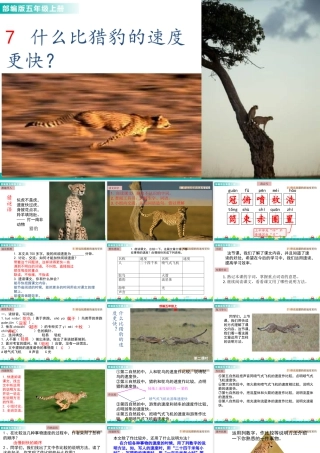 部编版语文五年级上-7 什么比猎豹的速度更快 课件.pptx