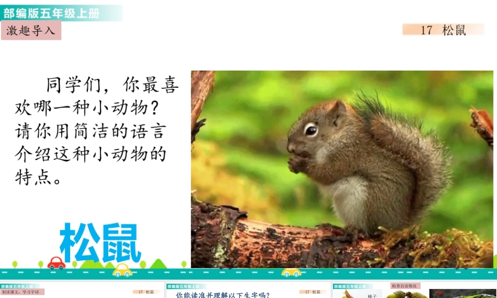 部编版语文五年级上-17 松鼠 课件.pptx