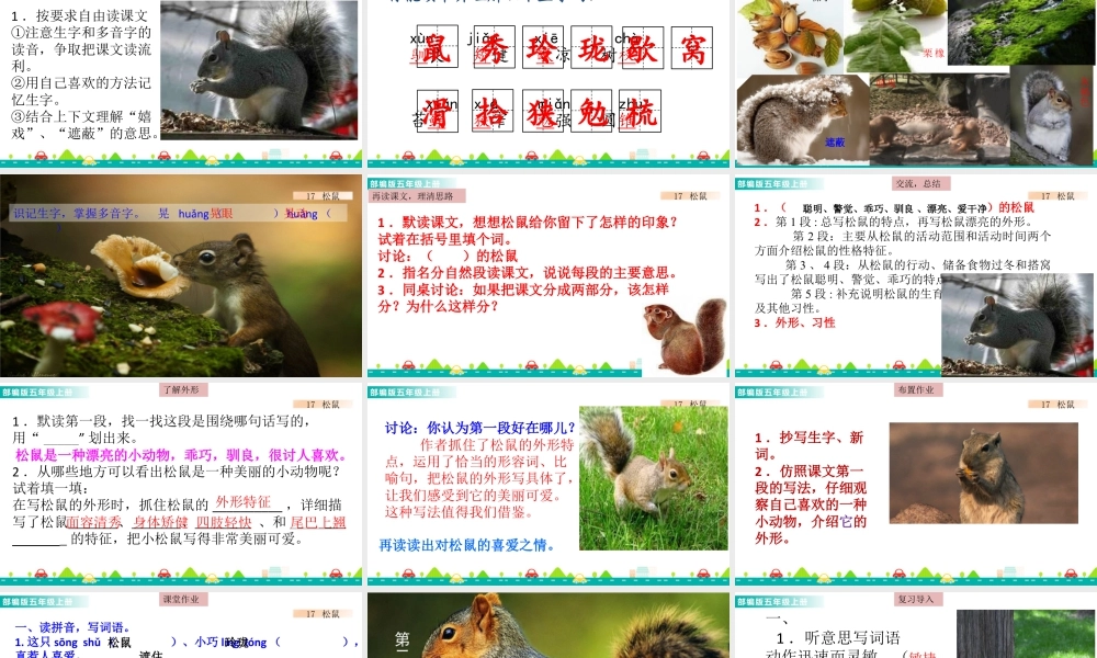 部编版语文五年级上-17 松鼠 课件.pptx