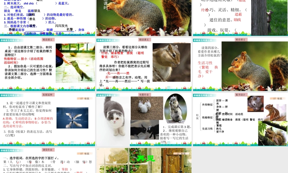 部编版语文五年级上-17 松鼠 课件.pptx