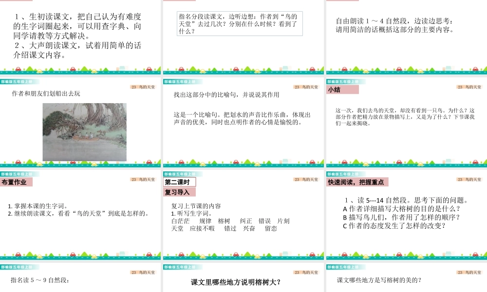 部编版语文五年级上-23 鸟的天堂 课件.pptx