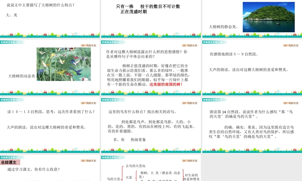 部编版语文五年级上-23 鸟的天堂 课件.pptx