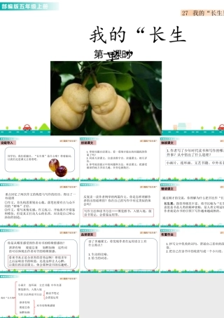 部编版语文五年级上-27 我的“长生果” 课件.pptx