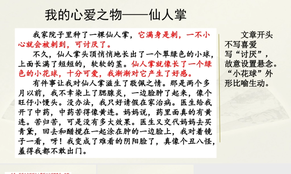 部编版语文五年级上-范文1：我的心爱之物——仙人掌.pptx