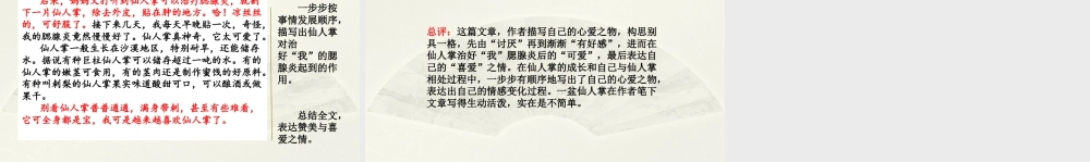 部编版语文五年级上-范文1：我的心爱之物——仙人掌.pptx