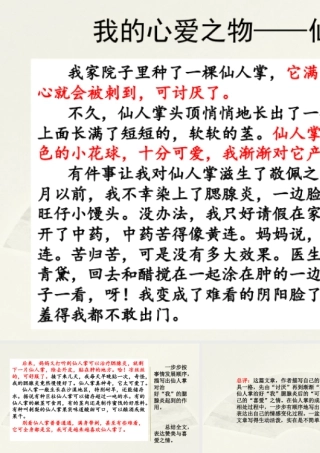 部编版语文五年级上-范文1：我的心爱之物——仙人掌.pptx