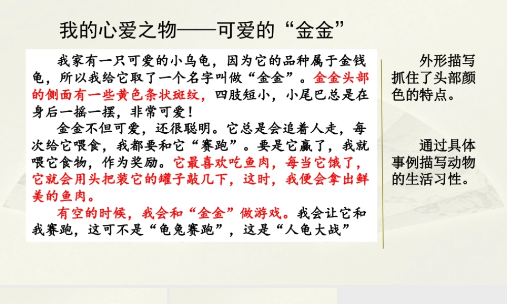部编版语文五年级上-范文2：我的心爱之物——可爱的“金金”.pptx