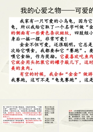 部编版语文五年级上-范文2：我的心爱之物——可爱的“金金”.pptx
