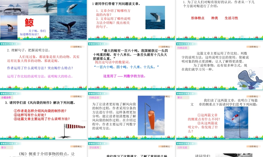 部编版语文五年级上-习作例文 课件.pptx