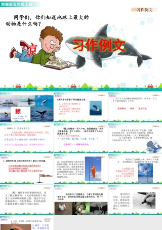 部编版语文五年级上-习作例文 课件.pptx