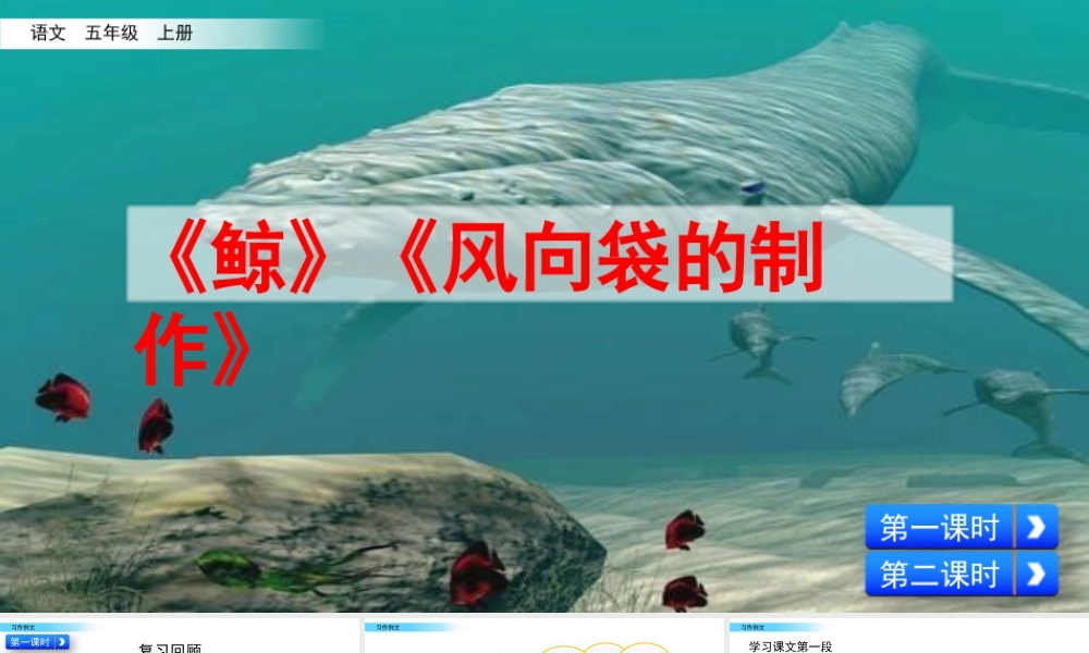 部编版语文五年级上-习作例文.pptx