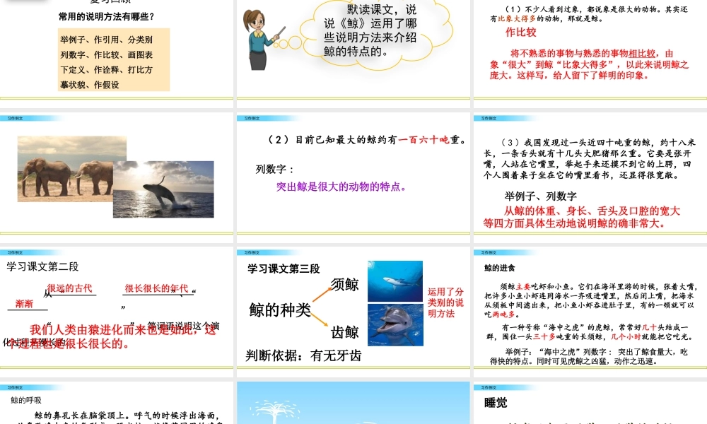 部编版语文五年级上-习作例文.pptx