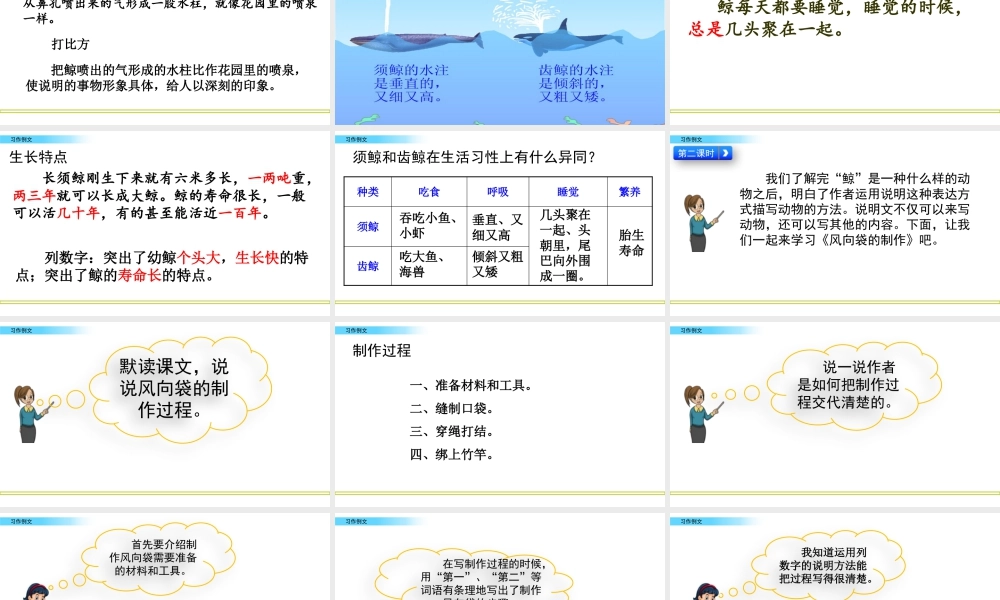 部编版语文五年级上-习作例文.pptx