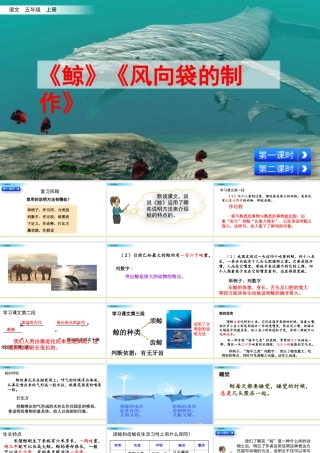 部编版语文五年级上-习作例文.pptx