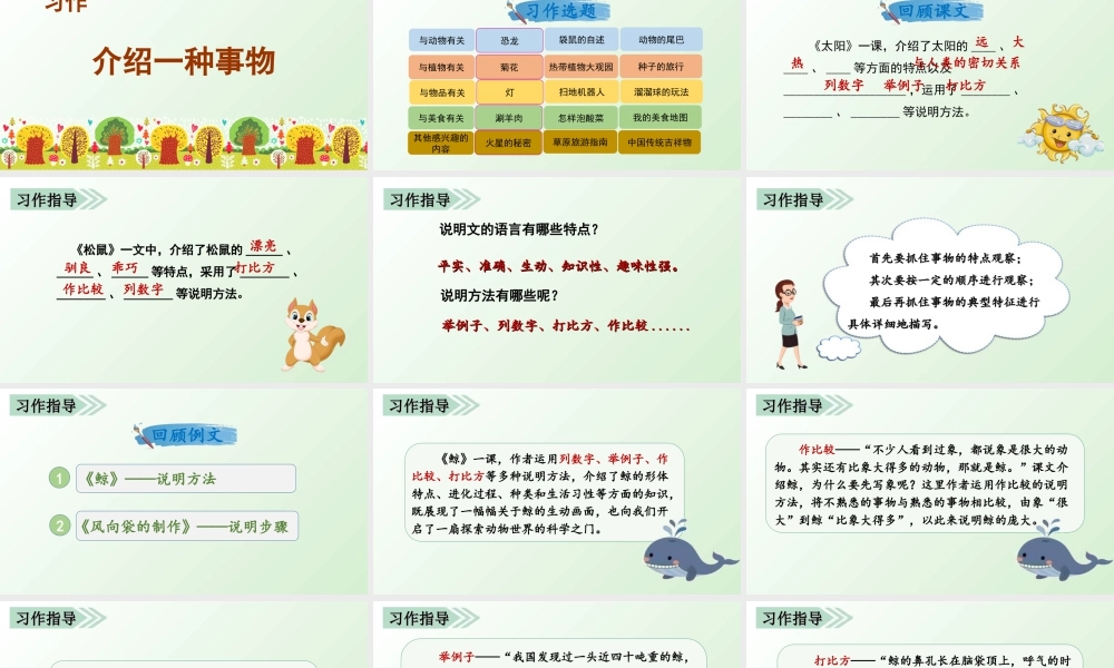 部编版语文五年级上-习作五   介绍一种事物.ppt