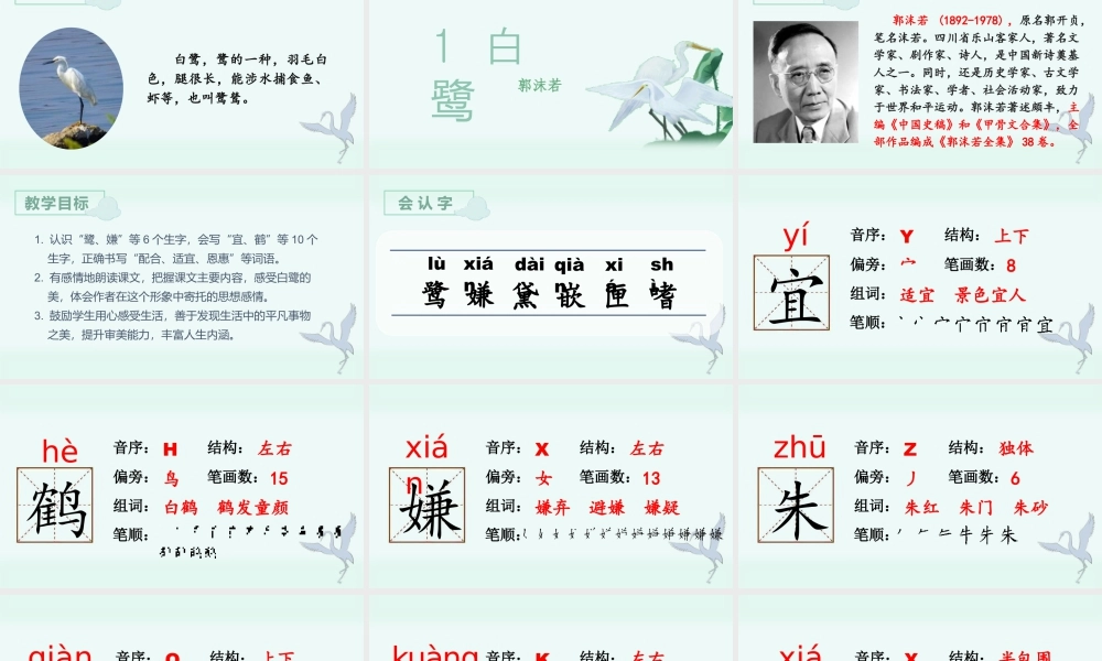 部编版语文五年级上-（上课课件）1.白鹭.pptx