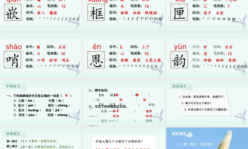 部编版语文五年级上-（上课课件）1.白鹭.pptx