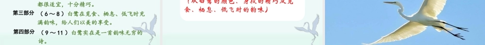 部编版语文五年级上-（上课课件）1.白鹭.pptx