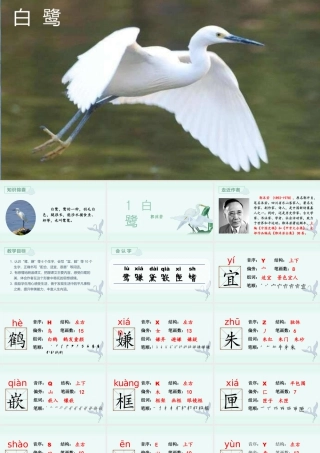 部编版语文五年级上-（上课课件）1.白鹭.pptx