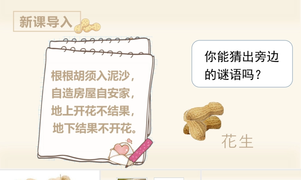 部编版语文五年级上-（上课课件）2.落花生.pptx