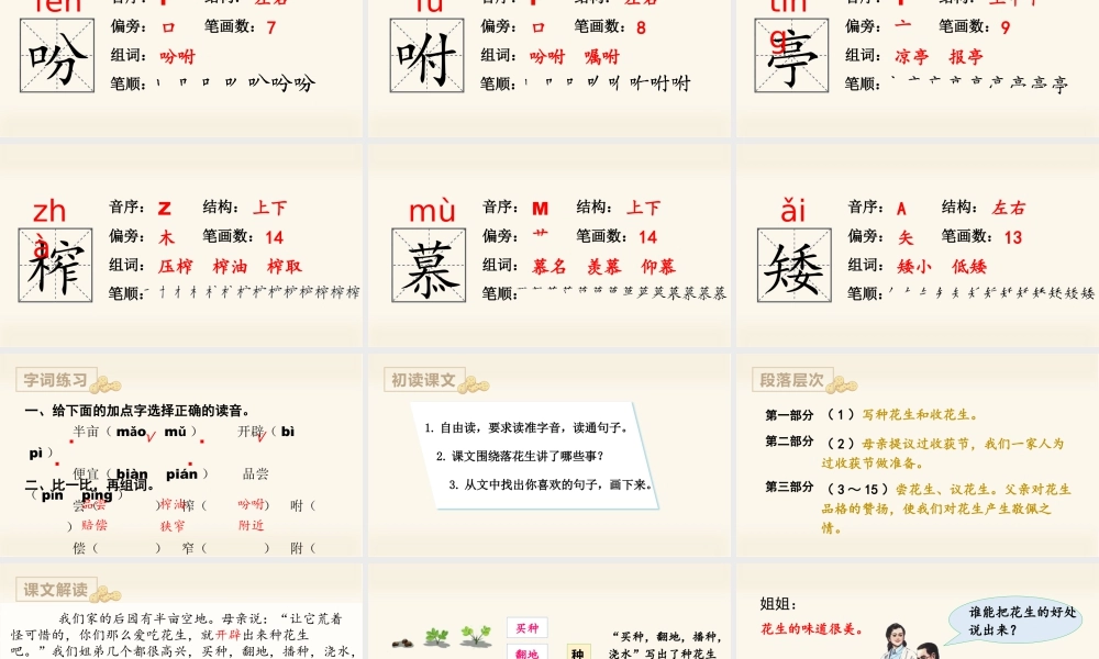 部编版语文五年级上-（上课课件）2.落花生.pptx