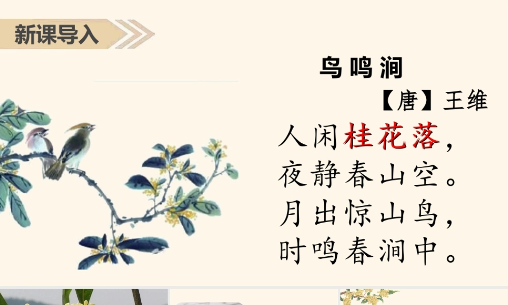 部编版语文五年级上-（上课课件）3.桂花雨.pptx