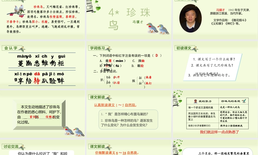 部编版语文五年级上-（上课课件）4.珍珠鸟.pptx
