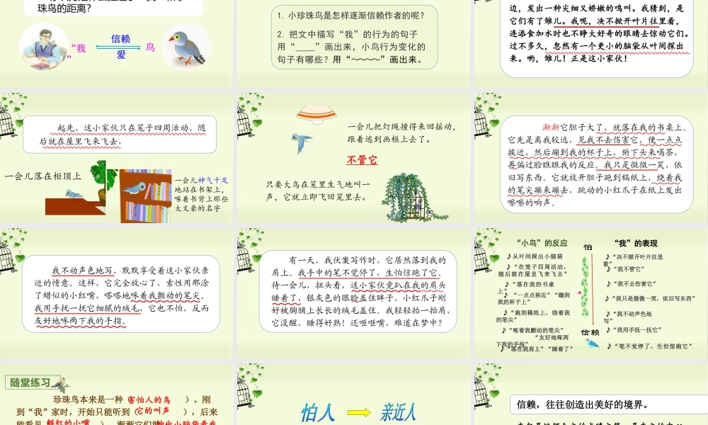 部编版语文五年级上-（上课课件）4.珍珠鸟.pptx