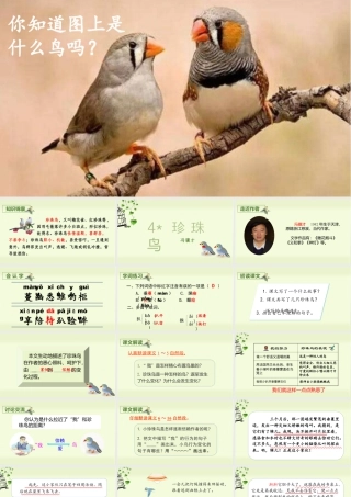 部编版语文五年级上-（上课课件）4.珍珠鸟.pptx