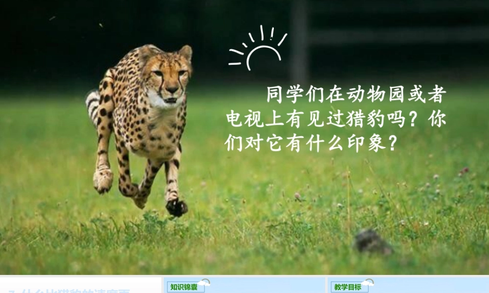 部编版语文五年级上-（上课课件）7.什么比猎豹的速度更快.pptx