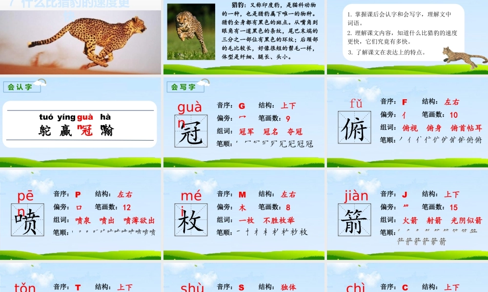 部编版语文五年级上-（上课课件）7.什么比猎豹的速度更快.pptx