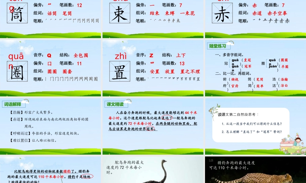 部编版语文五年级上-（上课课件）7.什么比猎豹的速度更快.pptx